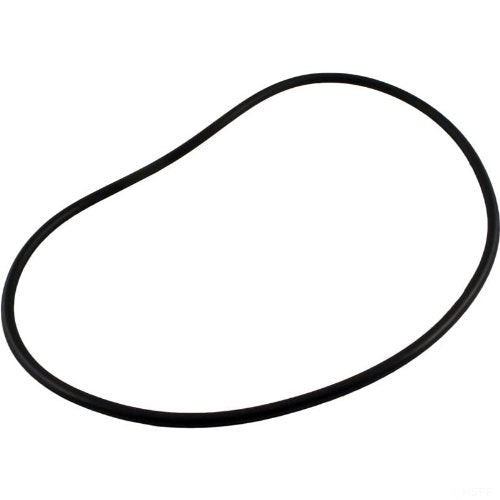 Upgraded cured EPR compatible for Zodiac Jandy R0480300 Backplate Seal O-Ring
