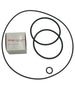 O-Ring Depot Chlorine Shaft Seal & O-Ring Kit with Grease Compatible with AquaFlo Flo-Master XP2 XP2E Series
