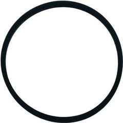 4 inch Tetraseal Lid Gasket compatible for Pentair 17150-0007